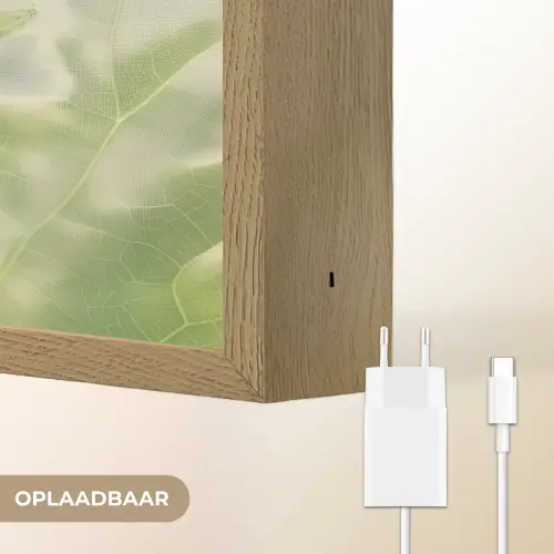 Hagedis - Blad - Nerven - Groen Light Box met batterij (Wandlamp) middel -USP_websiteoplaadbaarNL