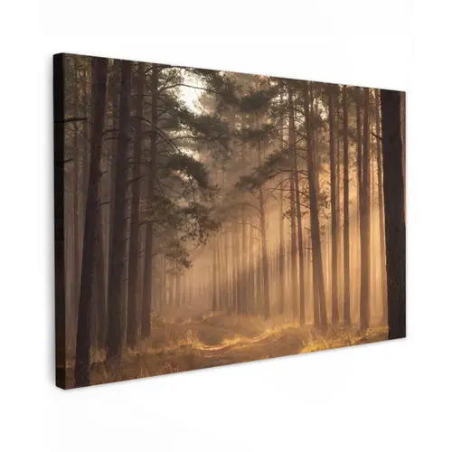 Bos - Mist - Zonlicht Tuinposter op houten frame 2 cm dik klein -3d