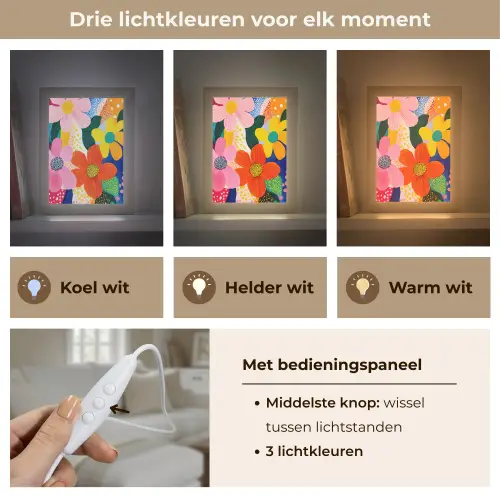 Bloemen - Kleurrijk - Stippen Light Box met kabel (Tafellamp) klein -USP_lichtkleurNL