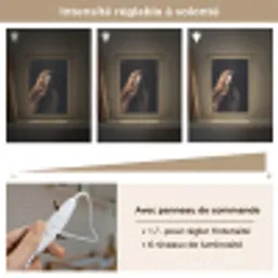 Roofvogel - Buizerd - Bruin Light Box met kabel (Kinderlampje) klein -USP_dimbaarFR