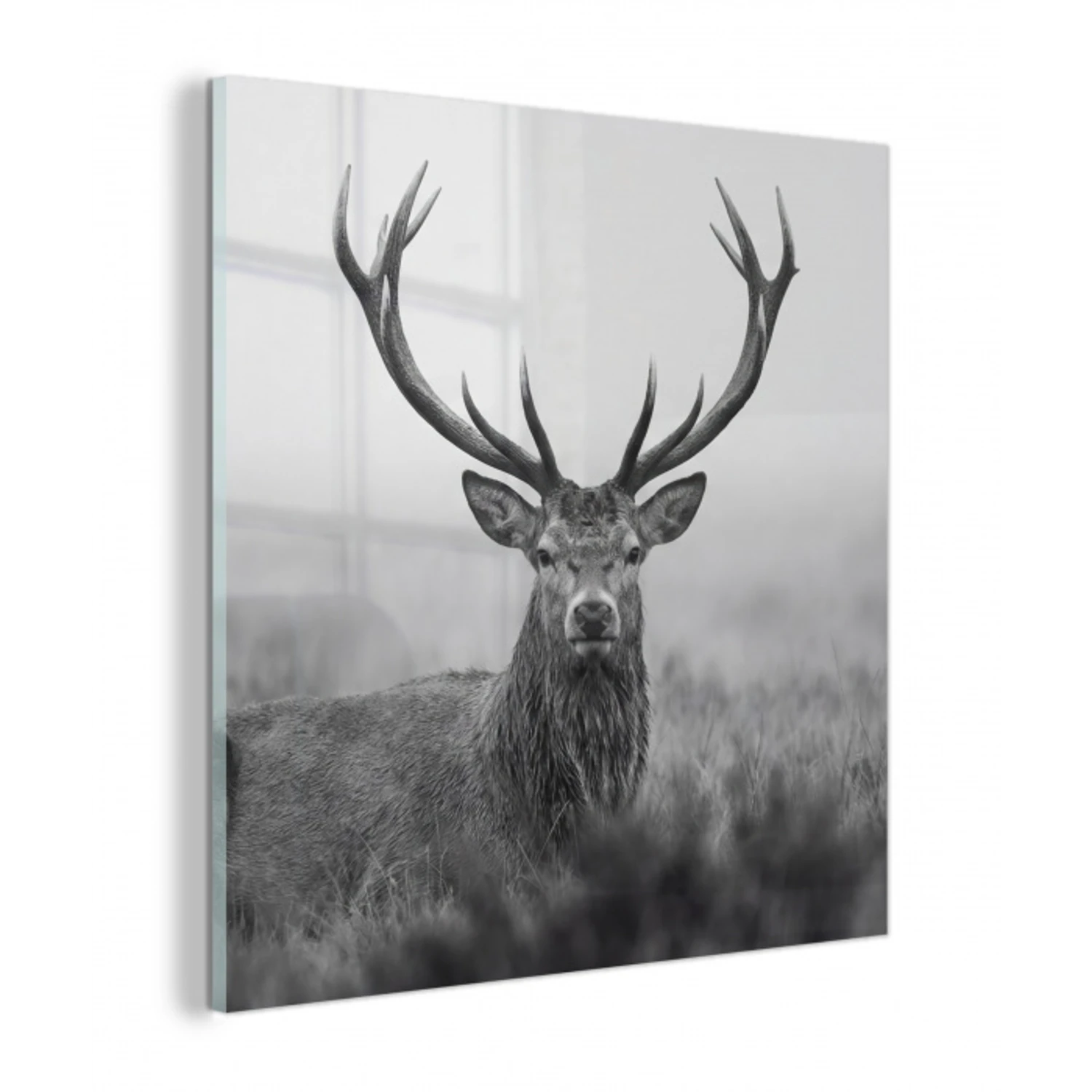 Hert - Mistig - Zwart - Wit plexiglas 5mm klein -z3d