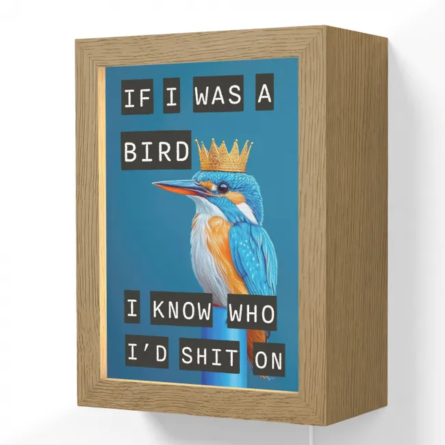 Lightbox - Wandlamp - Vogel - Decoratie - Ijsvogel - Blauw