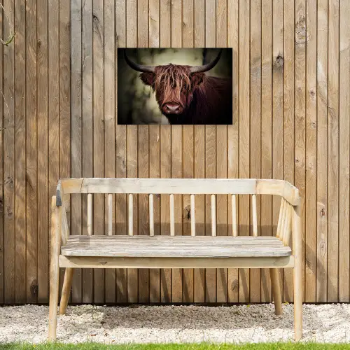 Schotse hooglander - Licht - Portret - Natuur Tuinposter op houten frame 2 cm dik klein -sfeer4
