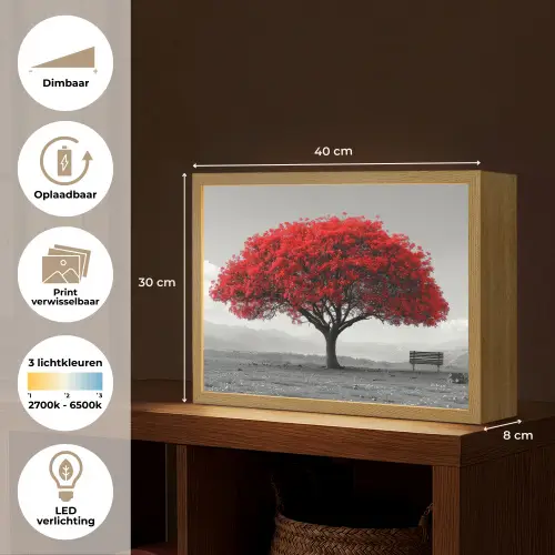 Boom - Rood - Natuur - Zwart wit Light Box met batterij (Wandlamp) middel -USP_websiteoverzichtNL