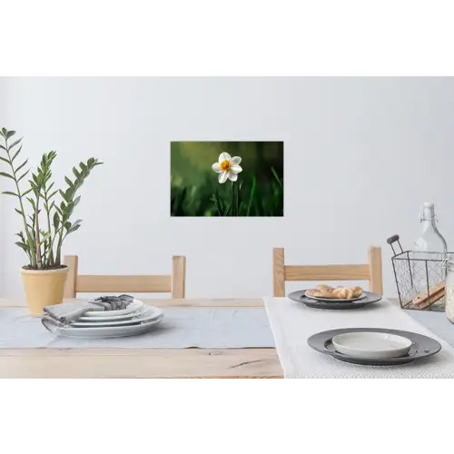 Narcis - Bloem - Wit - Grassprieten Muursticker klein -eettafel