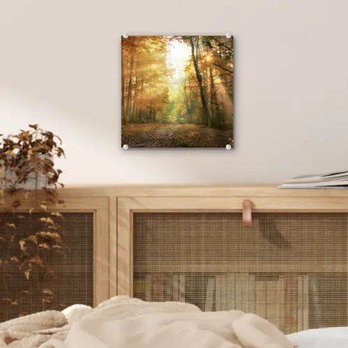 Bos - Herfst - Zon - Landschap - Natuur - Bomen - Bladeren plexiglas 5mm klein -sfeer4