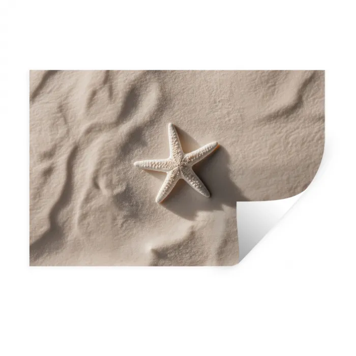 Strand - Zeester - Zand - Beige Muursticker klein -3d