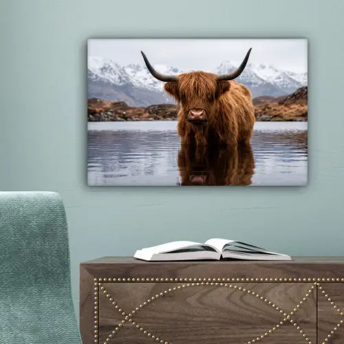 Schotse hooglander - Bruin - Water canvas 2cm klein -sfeer4