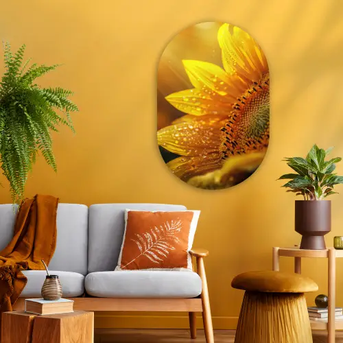 Zonnebloem - Dauwdruppels - Geel - Zonlicht Wandcirkel Ovaal Glas middel -sfeer4