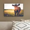 Koe - Zonsondergang - Bloemen - Gras - Dieren canvas 2cm klein -sfeer3