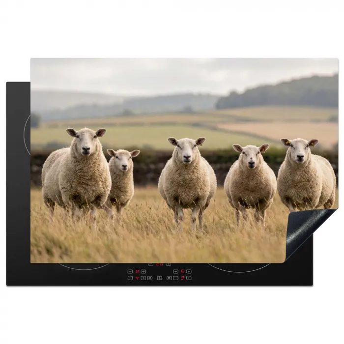 Schapen - Weidenlandschap - Heuvels Inductie beschermer vinyl 3mm klein -3d