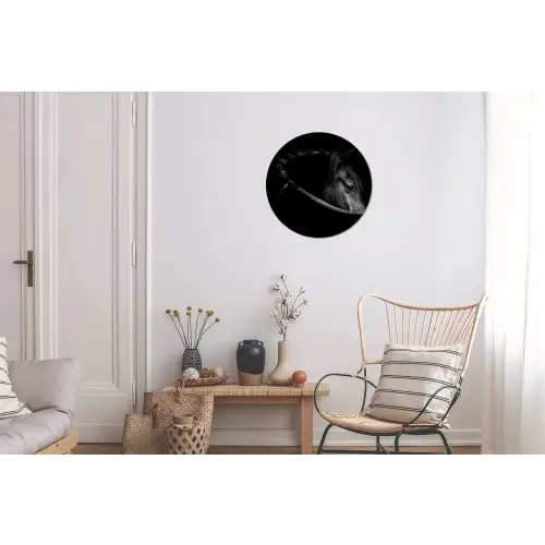 Paarden - Portret - Zwart - Dieren Wandcirkel aluminium klein -woonkamer