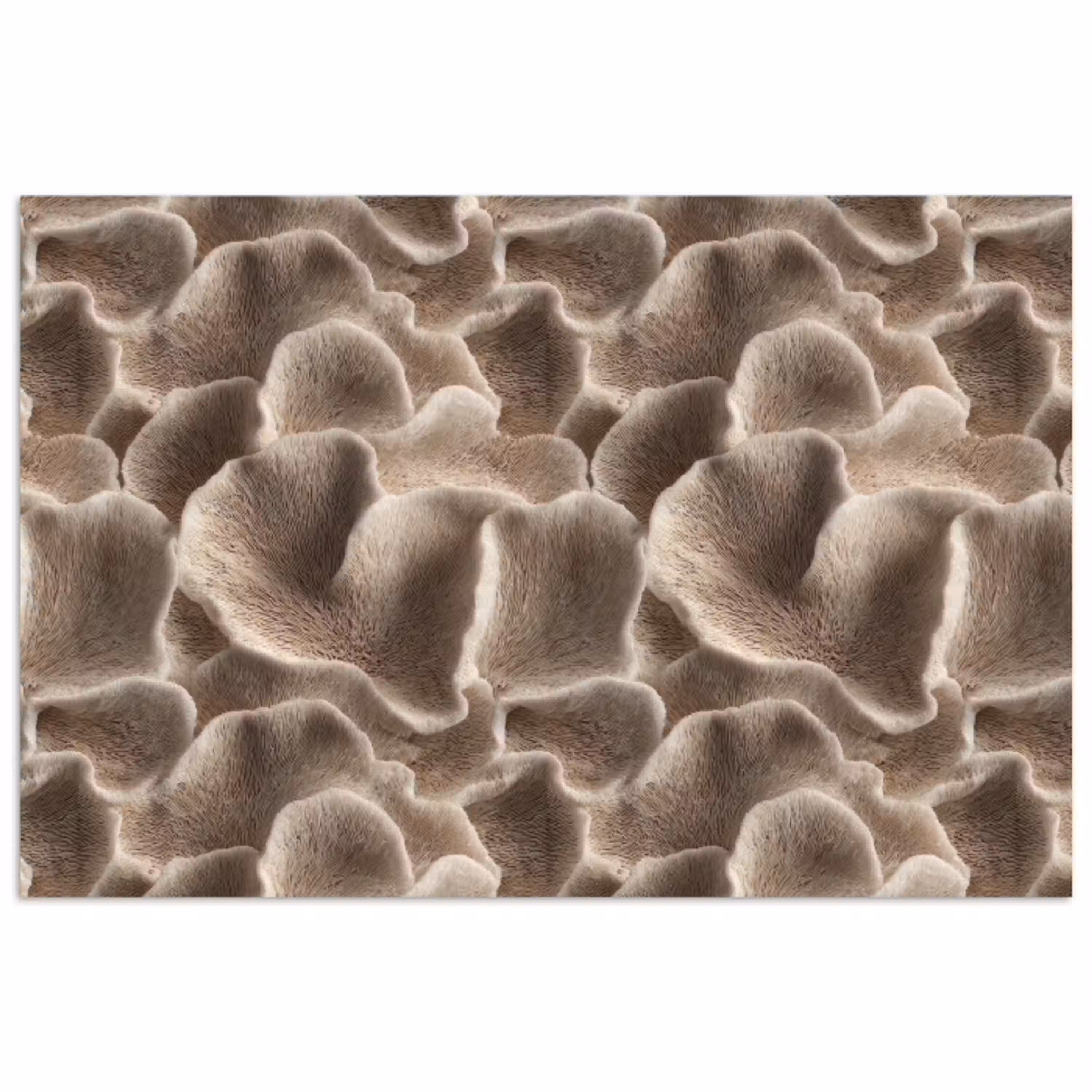 Waaiervorm - Beige - Vezel textuur poster papier klein 62 -3d