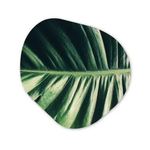 Tropisch - Inductie mat - Natuur - Inductie beschermer - Jungle Wandcirkel Organisch Aluminium middel -3d