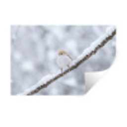 Vogeltje - Sneeuw - Tak - Winter - Zacht Muursticker klein -3d