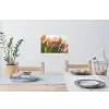 Tulpen - Roze - Zonnestralen Muursticker klein -eettafel