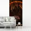 Schotse Hooglander - Koe - Portret - Dieren fotobehang vinyl groot -woonkamer