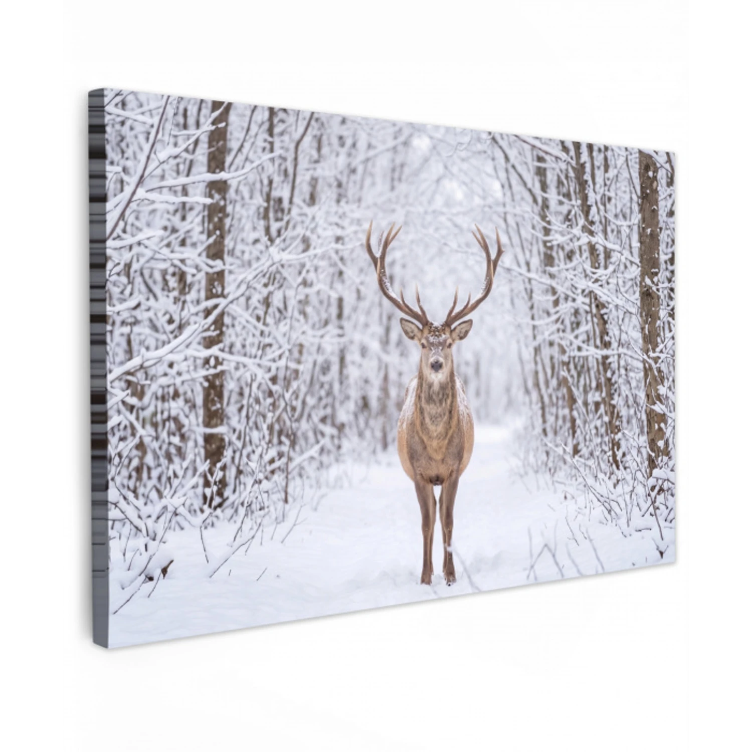 Hert - Winter - Bos - Natuur - Wit canvas 2cm klein -z3d