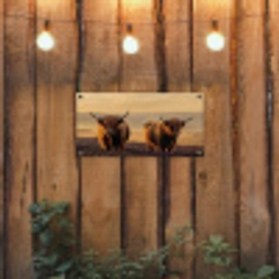 Schotse hooglanders - Heide - Landschap - Dieren tuinposter los doek klein -sfeer1