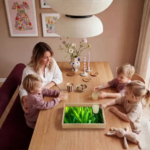 Grassprieten - Lichtinval - Groen Dienblad Rechthoek middel -sfeer4