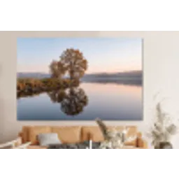 Bomen - Reflectie - Water - Zonsopgang - Serene forex 5mm xxl -bovenbank