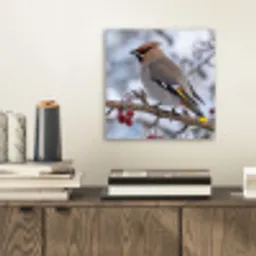 Pestvogel - Bessen - Winter - Natuur aluminium wit klein -sfeer1