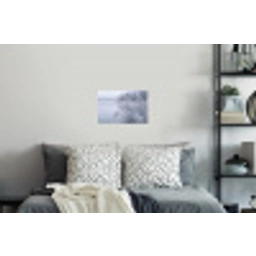 Riet - Bevroren - Winter - Natuur Muursticker klein -slaapkamer