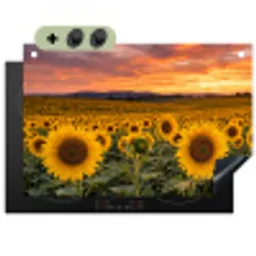 Zonnebloemen - Heuvellandschap - Geel Inductie beschemer met haakjes klein -3d