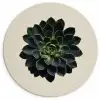 Rozet - Cirkelvormig - Donkergroen Wandcirkel kunststof plaat 5mm dik klein -3d