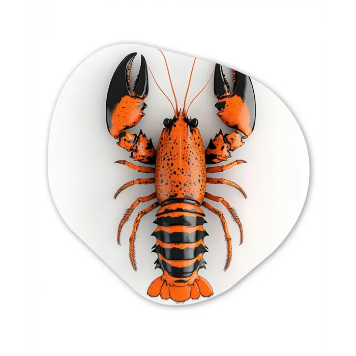 Kreeft - Zwart - Oranje - Wit - Uniek Wandcirkel Organisch Aluminium middel -3d