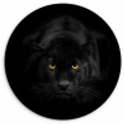 Panter - Dieren - Zwart - Ogen Wandcirkel kunststof plaat 5mm dik klein -3d