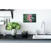 Bloemen - Roze - Glasmozaïek Muursticker klein -keuken