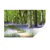 Bos - Pad - Wilde Bloemen Muursticker klein -3d