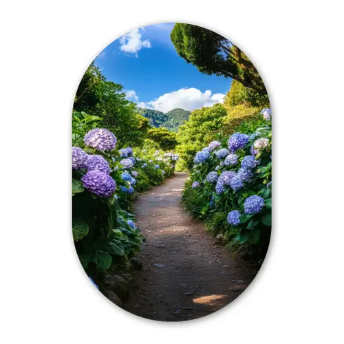 Hortsensia - Pad - Bloemen Wandcirkel Ovaal Glas middel -3d