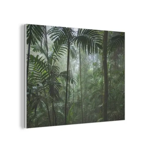 Regenwoud - Tropisch - Jungle - Bomen - Planten PET vilt klein -3d