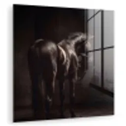 Krachtig - Paard - Donker plexiglas 5mm klein -zzzproduct_nieuw