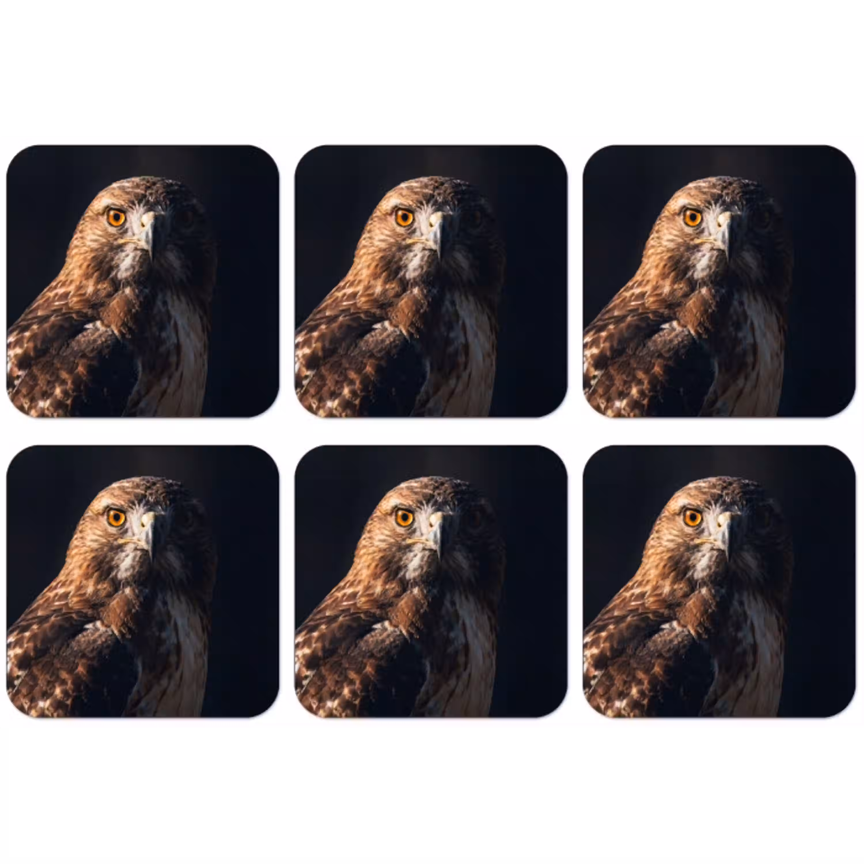 Roofvogel - Buizerd - Bruin onderzetter kurk middel -zkaufland3dotto