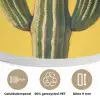 Cactus - Groen - Minimalistisch Akoestische PET Vilt - Rond klein -closeup_NL