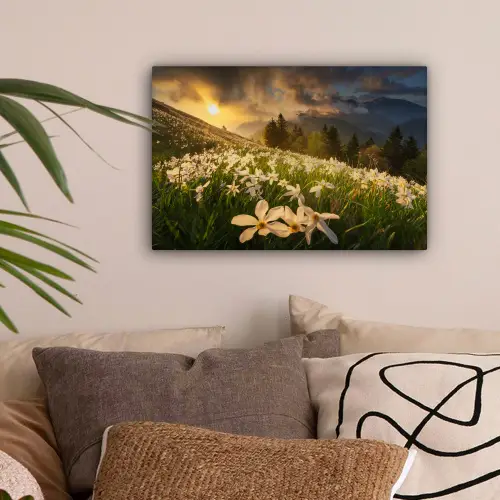 Bloemenveld - Heuvels - Zonsondergang - Berg - Natuur - Wit - Heuvels canvas 2cm klein -sfeer1