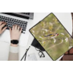 Putter - Bloesem - Lente - Natuur - Kleurrijk laptophoes neopreen klein -bureau