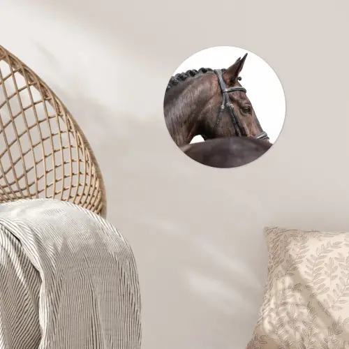 Portret - Paard - Elegant Wandcirkel behangsticker klein -sfeer4