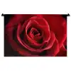 Rood - Roos - Romantisch Wandkleed katoen middel -zz3d