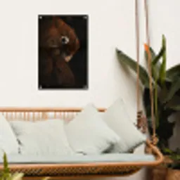 Papegaai - Vogel - Veren tuinposter los doek klein -sfeer7