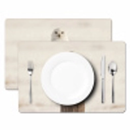 Sneeuwuil - Paal - Winter - Portret - Majestueus Placemat vinyl groot -zzsfeer2_Kitchenyeah-website