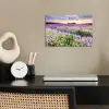 Lavendel - Bloemen - Zonsondergang - Paars - Weide poster papier klein -sfeer1