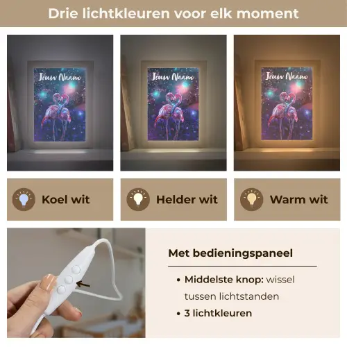 Flamingo's - Dieren - Ruimte - Galaxy Light Box met kabel (Kinderlampje) klein -USP_lichtkleurNL