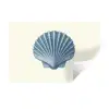 Ribbels - Blauw - Schelp Muursticker klein -3d