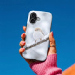 Vogeltje - Sneeuw - Tak - Winter - Zacht Toughcase MagSafe Apple iPhone 17 klein -Sfeer1V
