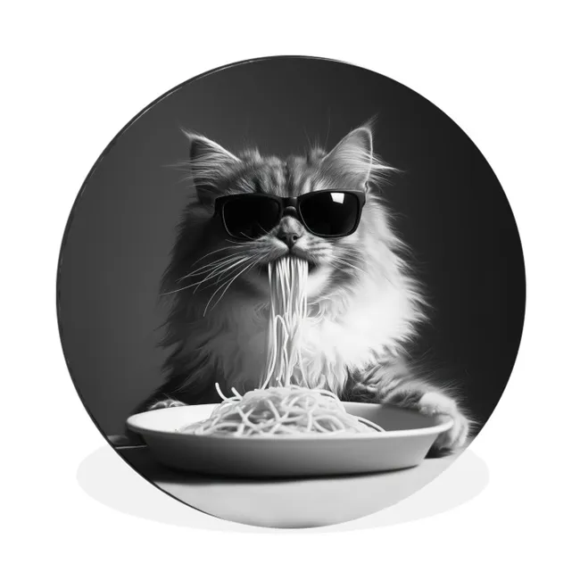 Muurcirkel aluminium Langharige kat - Zonnebril - Spaghetti - Humor - Zwart - wit
