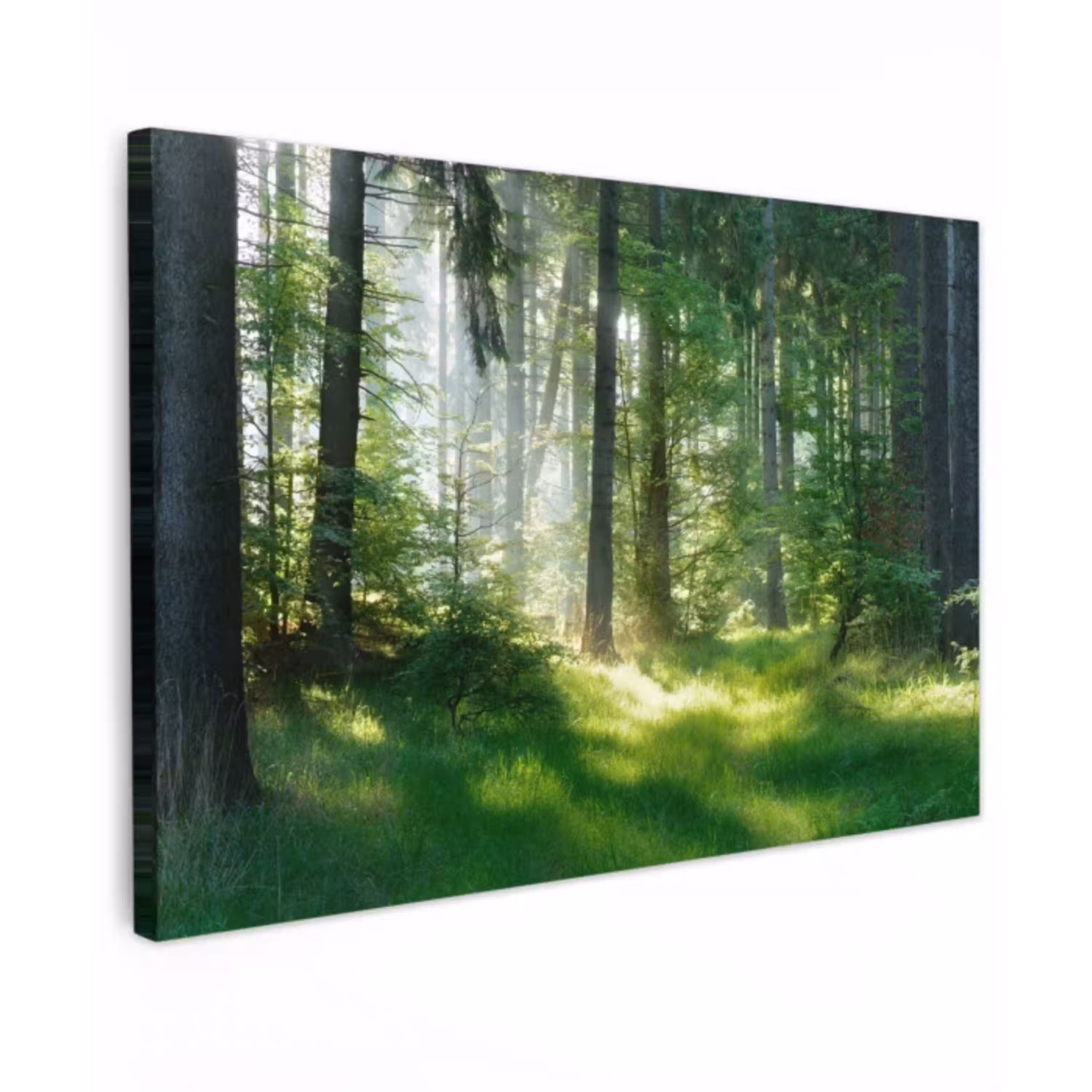 Zonnestralen in een groen bos Tuinposter op houten frame 2 cm dik klein -3d